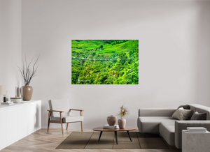 66 x 44″, Photo Print Under Acrylic Glass Bhote Koshi Bungee — Nepal Gorge Crossing