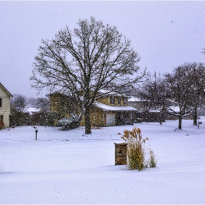 Main image First Snowfall, 2025 — Downers Grove, Chicago Suburbs
