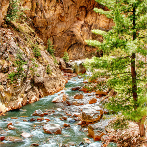 Main image Himalayan Canyon Stream — Gangotri, Uttarakhand